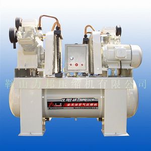 oͻsC(j)  oil free piston compressor 
P(gun)I: