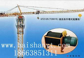 QTZ125QTZ125 Tower crane 
P(gun)I: