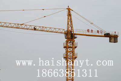 QTZ40QTZ40Tower crane 
P(gun)I: