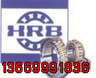 HRBISS  ½N̎ 
PI: