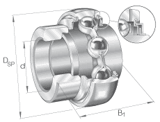 NINAϵGE20-KLL-BS 
P(gun)I: