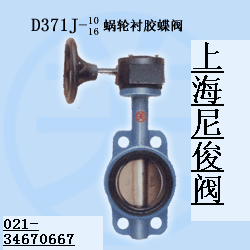 D371J-10rzy 
PI: