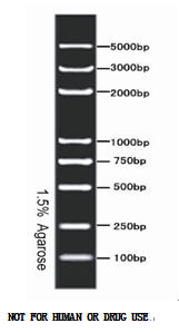 R AL5000 DNA Marker  AL5000 DNA Markera(chn)ƷB 
PI: