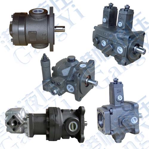 Vane Pumps Sries 
P(gun)I: