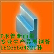 Pι/P͹/P䓹/P䓹/x15265564321 
P(gun)I: