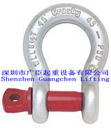 ʽt˨жSCREW PIN ANCHOR SHACKLES 
P(gun)I: