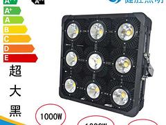 LED1200W 
P(gun)I: