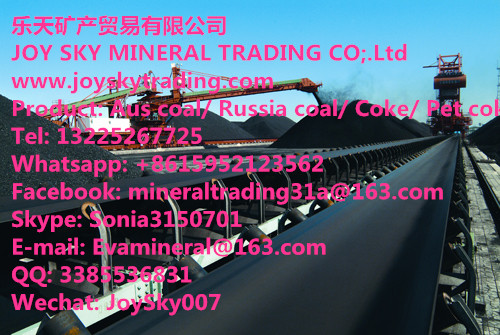 Australia/Russia/Indonesia Steam Coal Supplier 
P(gun)I: