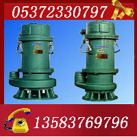 BQS 75KW15-70ˮ 
PI: